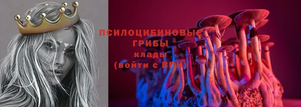гидропоника Нягань