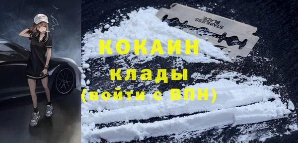 СК Няндома